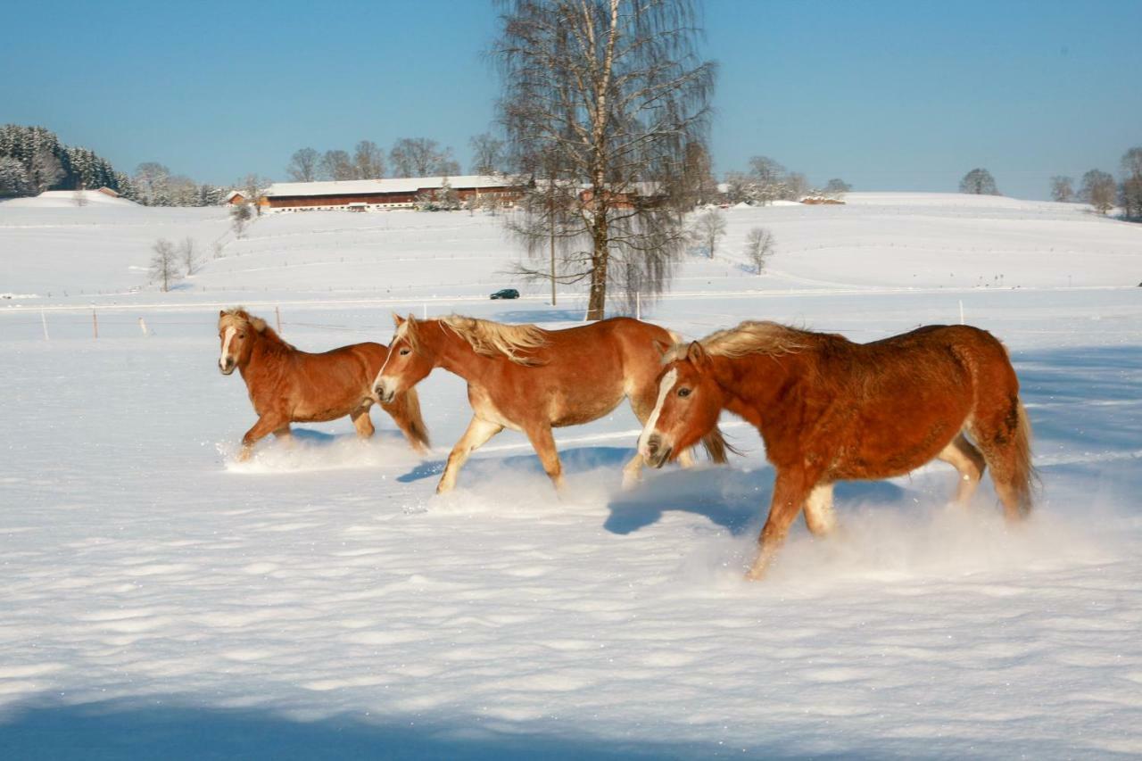 Ferienhof Off Sindelsdorf Luaran gambar